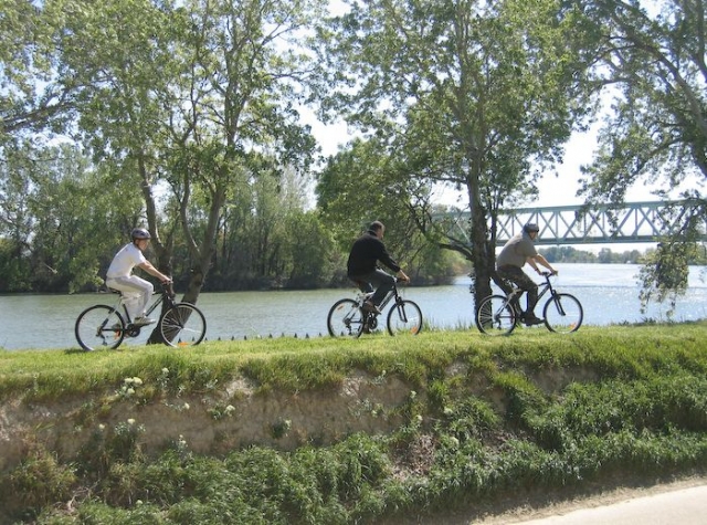  Paseo en BTT en familia 